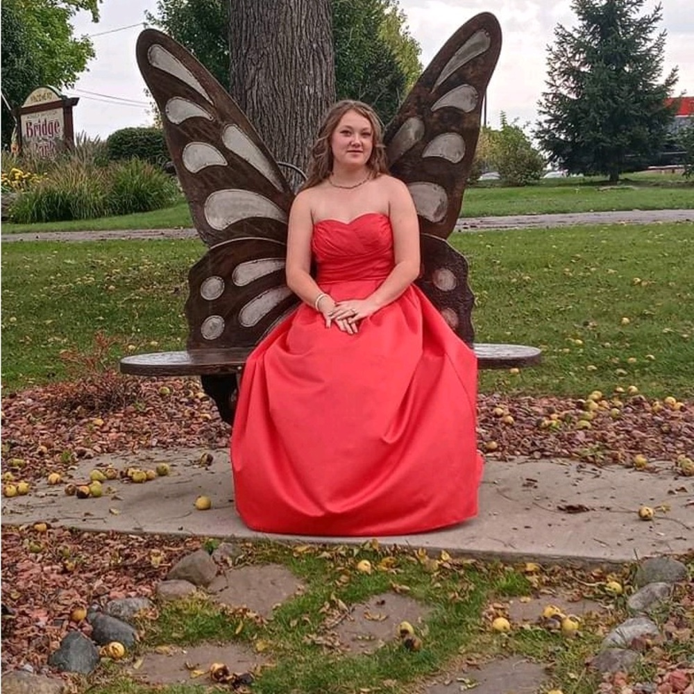 I am selling my freshman year homecoming dress.